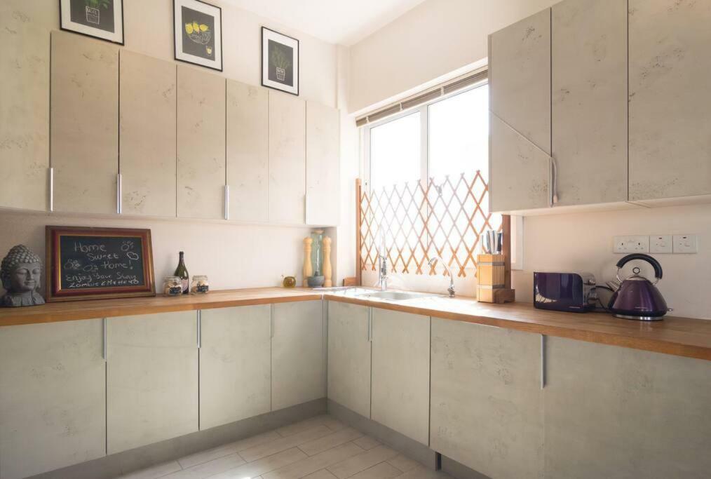 Vas' Penthouse Apartment Nicosia Exterior photo